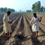 Electronic warehouse receipts: PMEX launches awareness programmes for farmers