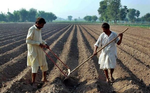 638d3e15d407a 638d3e15d407a